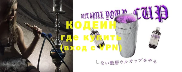 гашик Кодинск