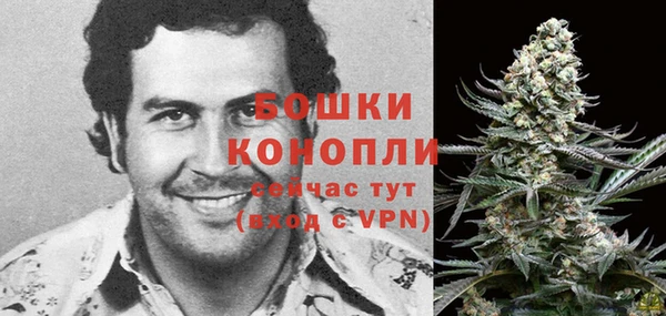 гашик Кодинск